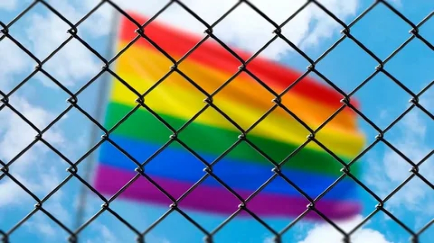 Сенат ЛГБТ насихатын шектеу туралы заңды бірінші оқылымда мақұлдады