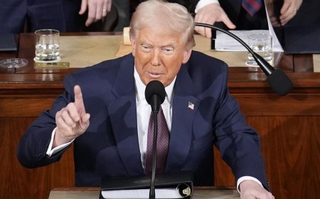 Трамп возложил ответственность за затягивание переговоров по Украине на Киев