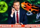 Пять стран Европы заявили о возможном отравлении Алексея Навального эпибатидином.