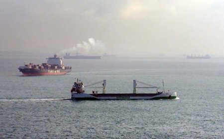 ЕС вводит полный запрет на морские услуги для российской нефти.