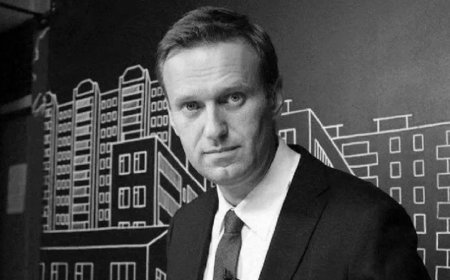 Эксперты: эпибатидин в деле Навального, вероятно, имеет лабораторное происхождение.