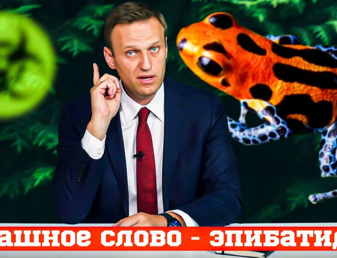 Пять стран Европы заявили о возможном отравлении Алексея Навального эпибатидином.