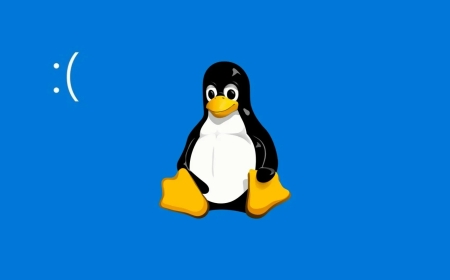 France prepares transition of state structures to Linux