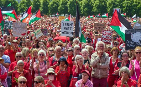 Акция в Гааге показала расширение пропалестинской мобилизации