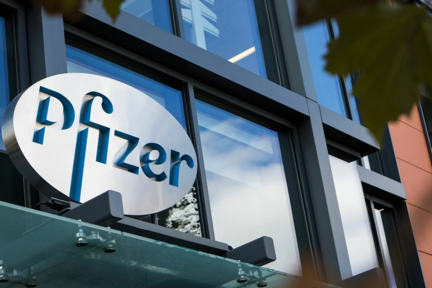 Pfizer компаниясының бұрынғы токсикологының көрсетулері сұрақтар туғызды