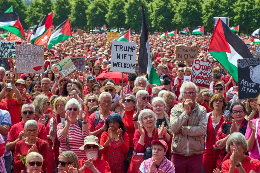Акция в Гааге показала расширение пропалестинской мобилизации