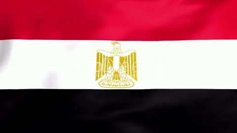 Egyptian Foreign Minister in Beirut: discussion of the ceasefire