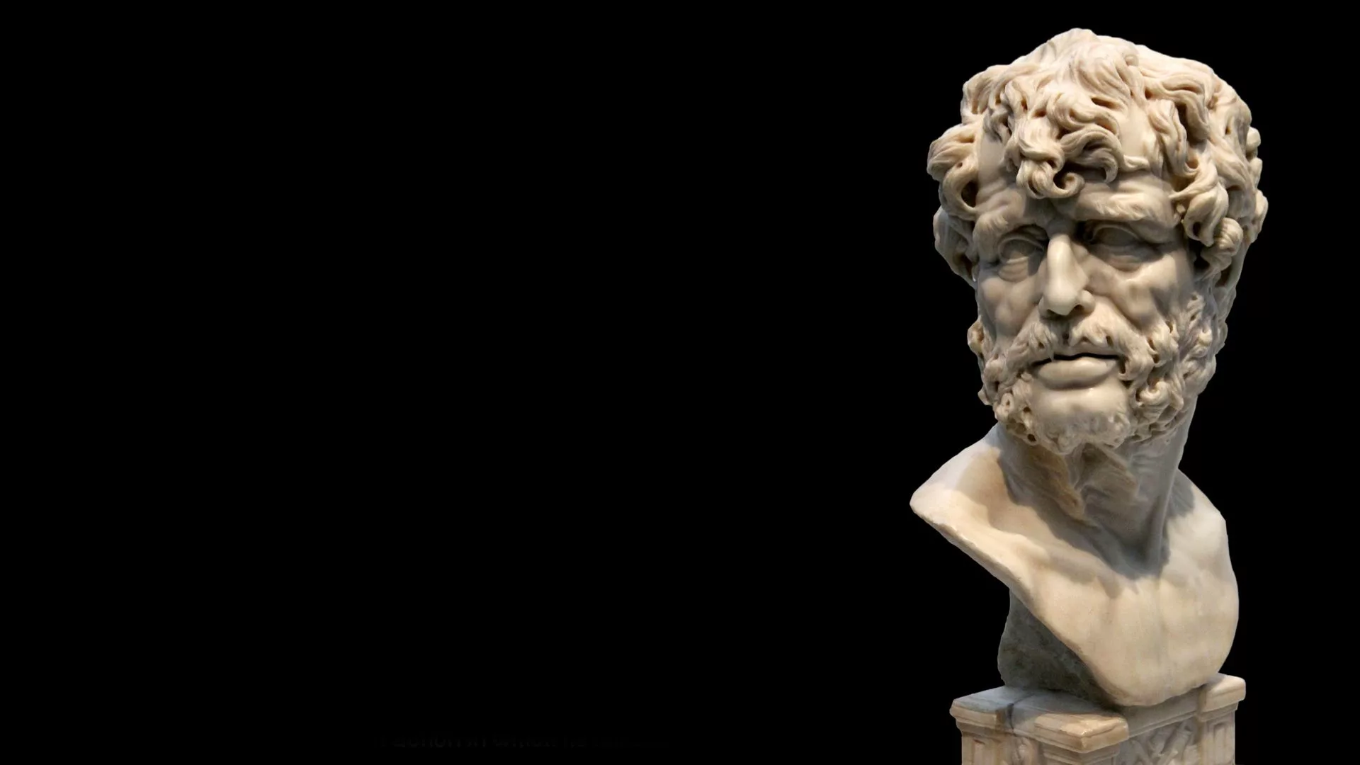 Live and learn forever: Seneca's original quote