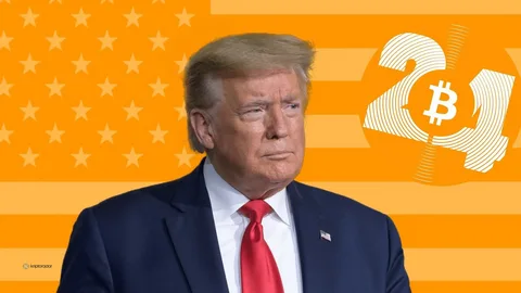 Трамп о биткоине: «Поздравляю со $100 000 — это впечатляет!»