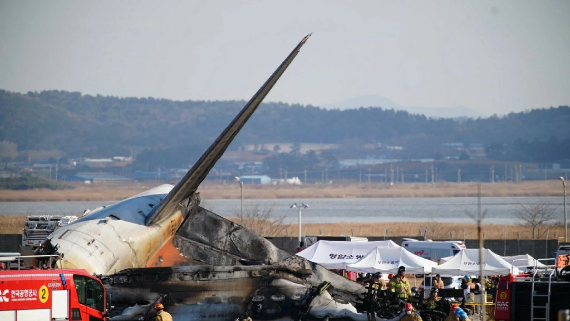 Катастрофа Jeju Air: птица в двигателе и поломка шасси