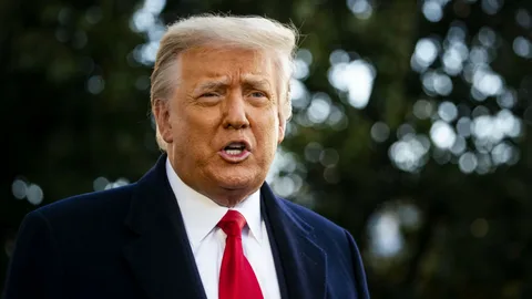 Трамп дал "зелёный свет" на операции в Газе, обещая поддержку даже при нарушении перемирия