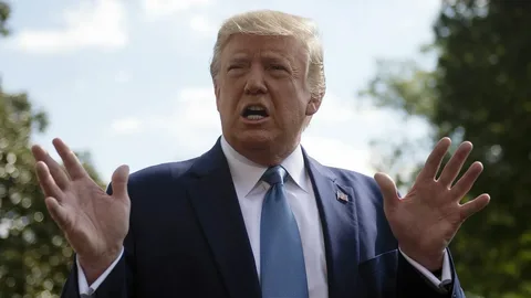 Трамп приостановил помощь Украине и другим странам: подготовка к переговорам с Путиным началась