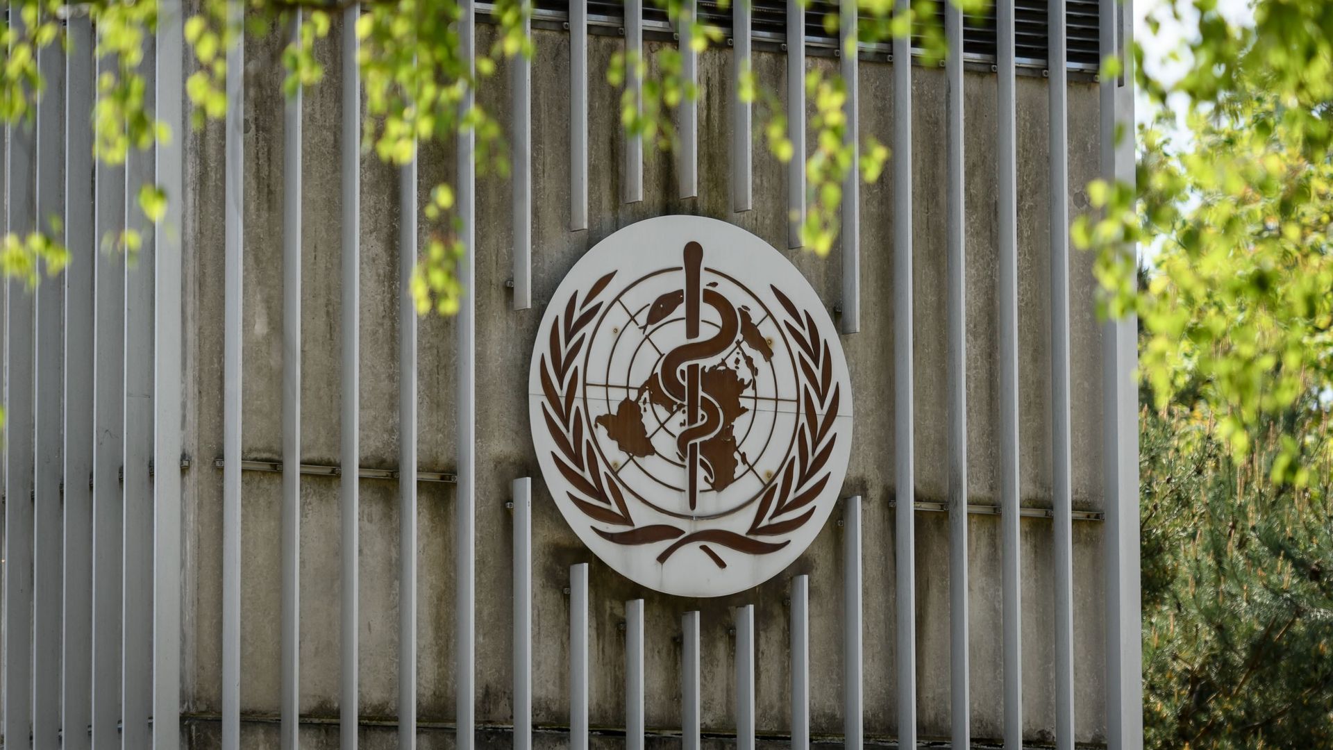 Trump Signs Order to Withdraw the US from the World Health Organization
