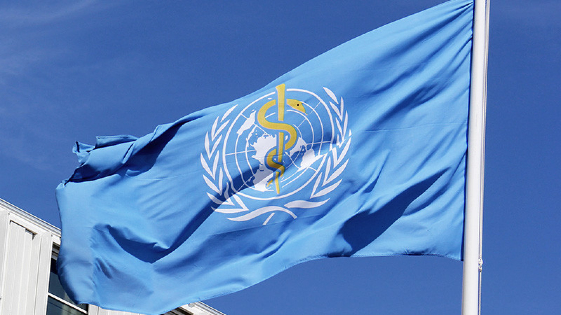 WHO Freezes Hiring and Limits Travel Due to Funding Shortfall After U.S. Withdrawal