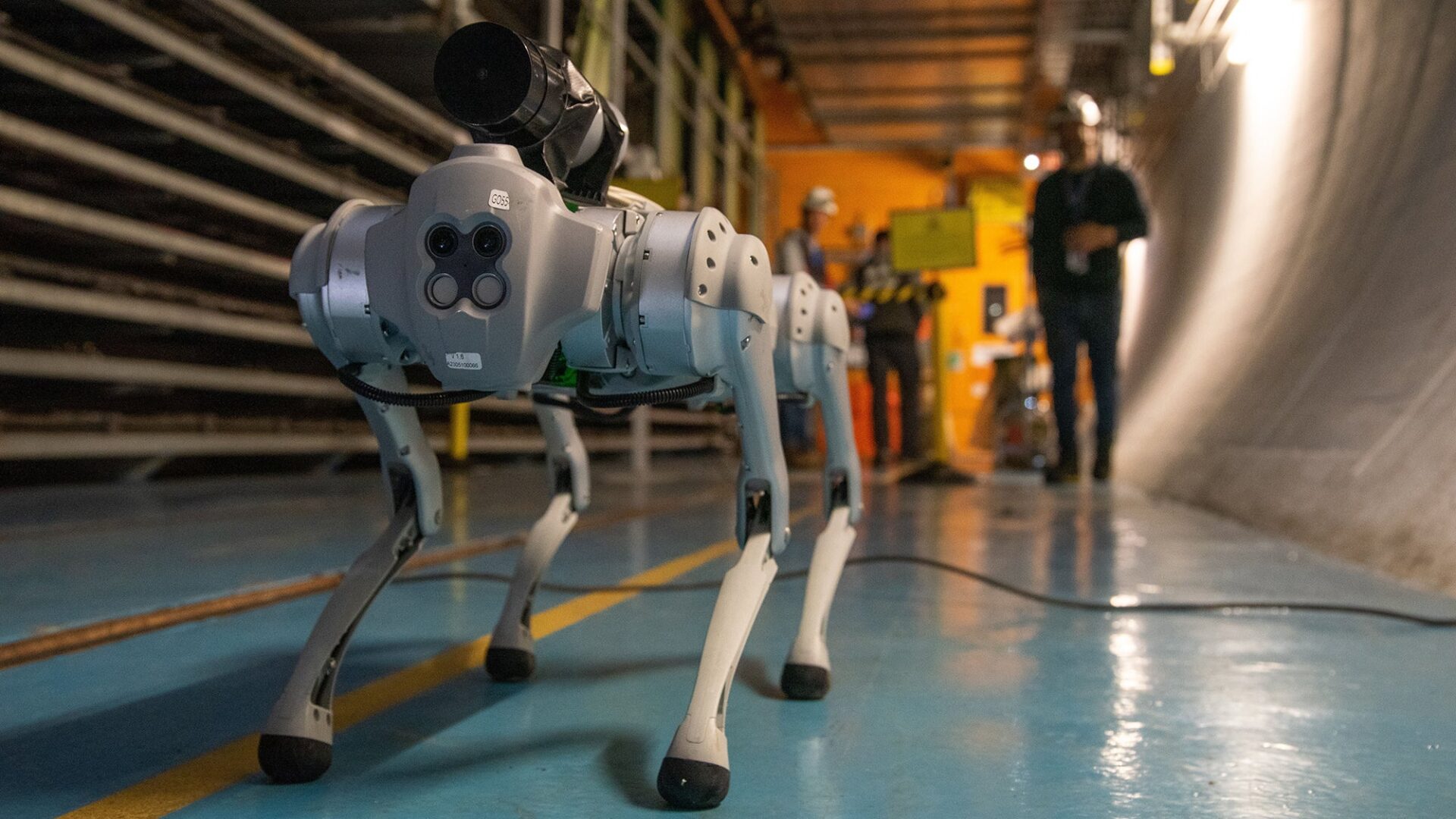 In China, robot dogs become firefighters and search for survivors
