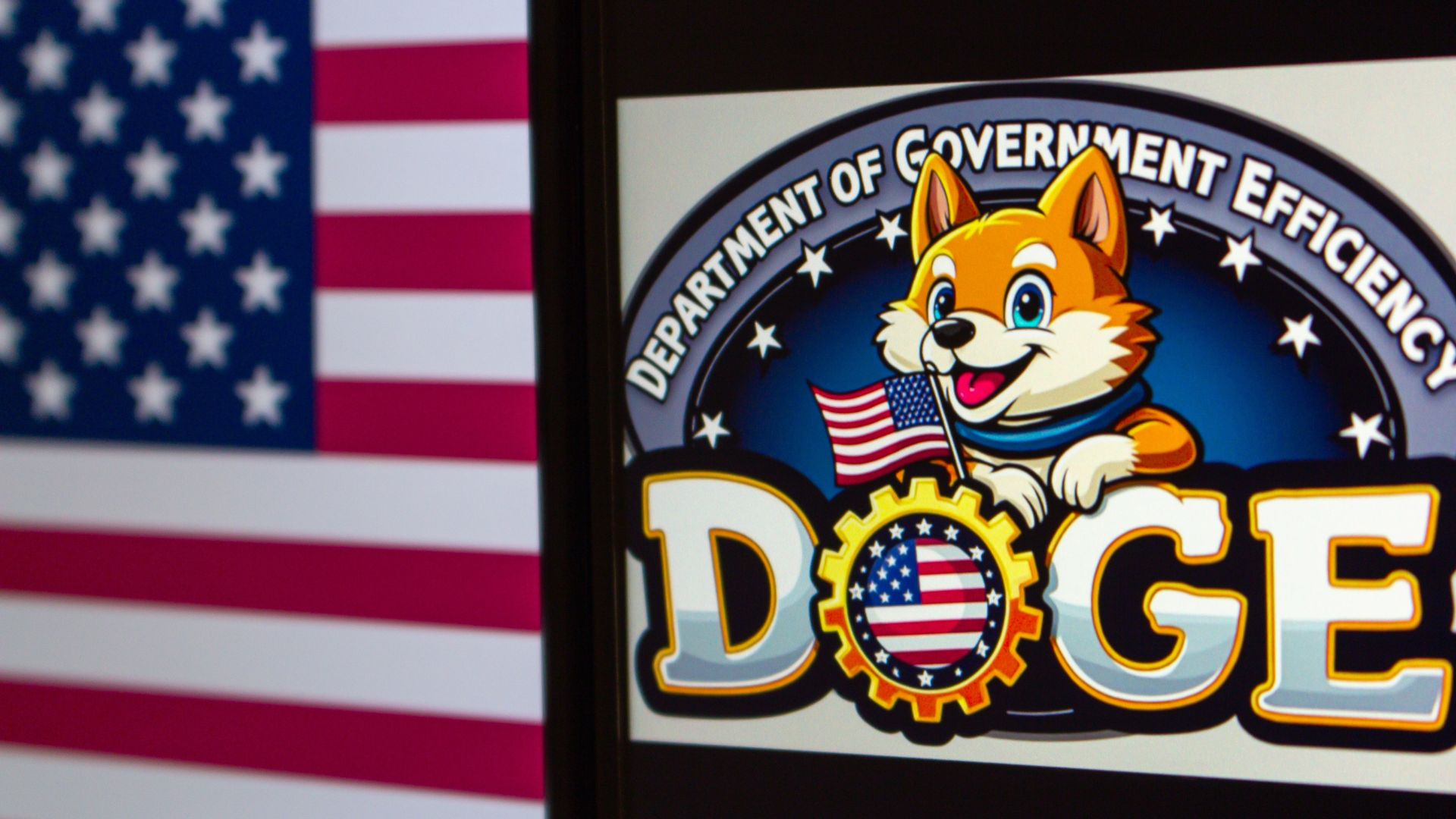 США досрочно закрыли департамент эффективности правительства DOGE