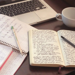 Shulgina Anastassiya